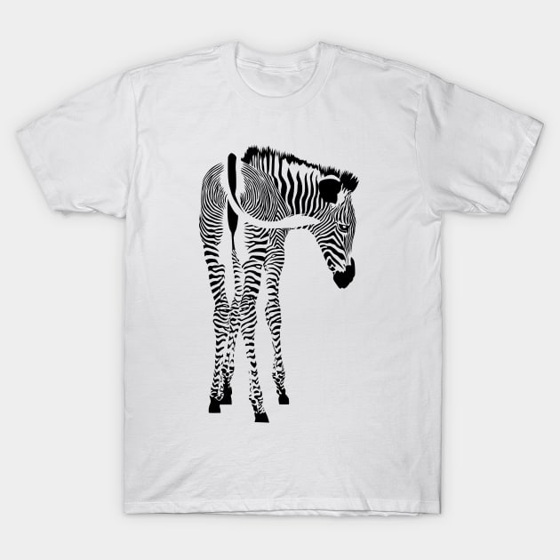 Zebra T-Shirt by CloudyGlow